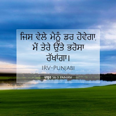 Picture 07 - ਜ਼ਬੂਰ 56:3 PANIRV - ਜਿਸ ਵੇਲੇ ਮੈਨੂੰ ਡਰ - Bible Verse Picture