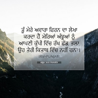 Picture 07 - ਜ਼ਬੂਰ 56:8 PANIRV - ਤੂੰ ਮੇਰੇ ਅਵਾਰਾ - Bible Verse Picture