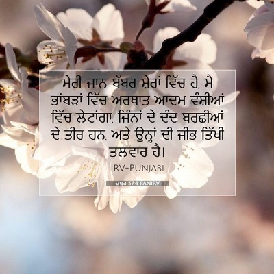 Picture 07 - ਜ਼ਬੂਰ 57:4 PANIRV - ਮੇਰੀ ਜਾਨ ਬੱਬਰ - Bible Verse Picture