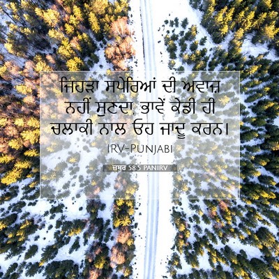 Picture 07 - ਜ਼ਬੂਰ 58:5 PANIRV - ਜਿਹੜਾ ਸਪੇਰਿਆਂ ਦੀ - Bible Verse Picture