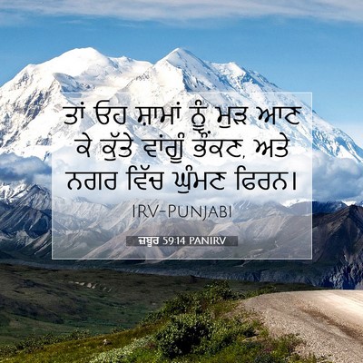 Picture 07 - ਜ਼ਬੂਰ 59:14 PANIRV - ਤਾਂ ਓਹ ਸ਼ਾਮਾਂ ਨੂੰ - Bible Verse Picture