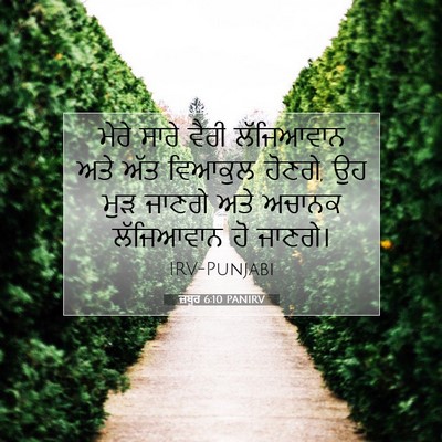 Picture 07 - ਜ਼ਬੂਰ 6:10 PANIRV - ਮੇਰੇ ਸਾਰੇ ਵੈਰੀ - Bible Verse Picture