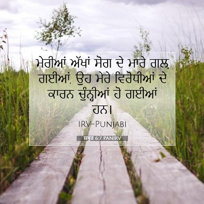 Picture 07 - ਜ਼ਬੂਰ 6:7 PANIRV - ਮੇਰੀਆਂ ਅੱਖਾਂ ਸੋਗ - Bible Verse Picture