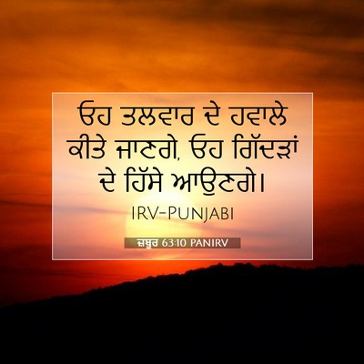 Picture 07 - ਜ਼ਬੂਰ 63:10 PANIRV - ਓਹ ਤਲਵਾਰ ਦੇ ਹਵਾਲੇ - Bible Verse Picture