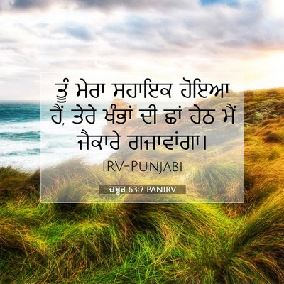 Picture 07 - ਜ਼ਬੂਰ 63:7 PANIRV - ਤੂੰ ਮੇਰਾ ਸਹਾਇਕ - Bible Verse Picture