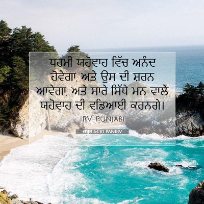 Picture 07 - ਜ਼ਬੂਰ 64:10 PANIRV - ਧਰਮੀ ਯਹੋਵਾਹ ਵਿੱਚ - Bible Verse Picture