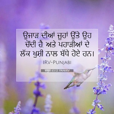 Picture 07 - ਜ਼ਬੂਰ 65:12 PANIRV - ਉਜਾੜ ਦੀਆਂ ਜੂਹਾਂ - Bible Verse Picture