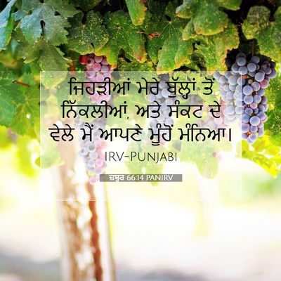 Picture 07 - ਜ਼ਬੂਰ 66:14 PANIRV - ਜਿਹੜੀਆਂ ਮੇਰੇ - Bible Verse Picture