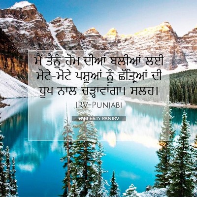 Picture 07 - ਜ਼ਬੂਰ 66:15 PANIRV - ਮੈਂ ਤੈਨੂੰ ਹੋਮ ਦੀਆਂ - Bible Verse Picture