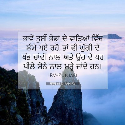 Picture 07 - ਜ਼ਬੂਰ 68:13 PANIRV - ਭਾਵੇਂ ਤੁਸੀਂ ਭੇਡਾਂ - Bible Verse Picture