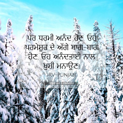 Picture 07 - ਜ਼ਬੂਰ 68:3 PANIRV - ਪਰ ਧਰਮੀ ਅਨੰਦ ਹੋਣ, - Bible Verse Picture
