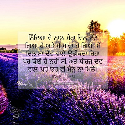 Picture 07 - ਜ਼ਬੂਰ 69:20 PANIRV - ਨਿੰਦਿਆ ਦੇ ਨਾਲ ਮੇਰਾ - Bible Verse Picture