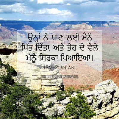Picture 07 - ਜ਼ਬੂਰ 69:21 PANIRV - ਉਨ੍ਹਾਂ ਨੇ ਖਾਣ ਲਈ - Bible Verse Picture
