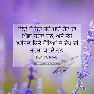 Picture 07 - ਜ਼ਬੂਰ 69:26 PANIRV - ਕਿਉਂ ਜੋ ਓਹ ਤੇਰੇ - Bible Verse Picture