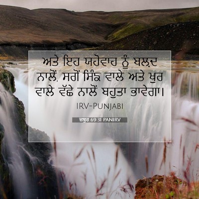 Picture 07 - ਜ਼ਬੂਰ 69:31 PANIRV - ਅਤੇ ਇਹ ਯਹੋਵਾਹ ਨੂੰ - Bible Verse Picture