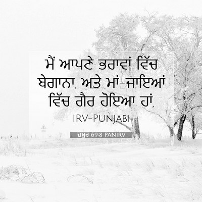 Picture 07 - ਜ਼ਬੂਰ 69:8 PANIRV - ਮੈਂ ਆਪਣੇ ਭਰਾਵਾਂ - Bible Verse Picture