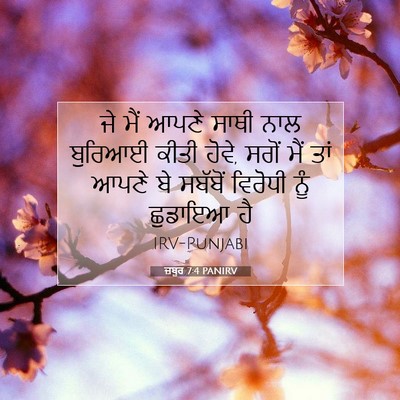 Picture 07 - ਜ਼ਬੂਰ 7:4 PANIRV - ਜੇ ਮੈਂ ਆਪਣੇ ਸਾਥੀ - Bible Verse Picture