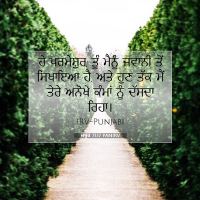 Picture 07 - ਜ਼ਬੂਰ 71:17 PANIRV - ਹੇ ਪਰਮੇਸ਼ੁਰ, ਤੂੰ - Bible Verse Picture