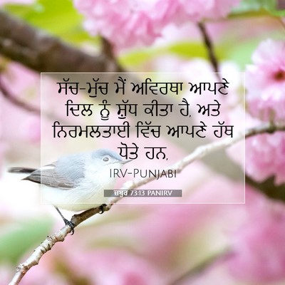 Picture 07 - ਜ਼ਬੂਰ 73:13 PANIRV - ਸੱਚ-ਮੁੱਚ ਮੈਂ - Bible Verse Picture