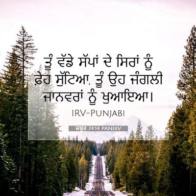 Picture 07 - ਜ਼ਬੂਰ 74:14 PANIRV - ਤੂੰ ਵੱਡੇ ਸੱਪਾਂ ਦੇ - Bible Verse Picture