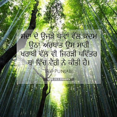 Picture 07 - ਜ਼ਬੂਰ 74:3 PANIRV - ਸਦਾ ਦੇ ਉਜੜੇ ਥਾਵਾਂ - Bible Verse Picture