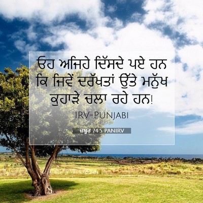 Picture 07 - ਜ਼ਬੂਰ 74:5 PANIRV - ਓਹ ਅਜਿਹੇ ਦਿੱਸਦੇ ਪਏ - Bible Verse Picture