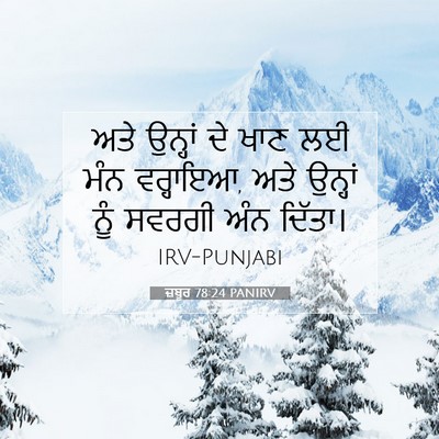 Picture 07 - ਜ਼ਬੂਰ 78:24 PANIRV - ਅਤੇ ਉਨ੍ਹਾਂ ਦੇ ਖਾਣ - Bible Verse Picture