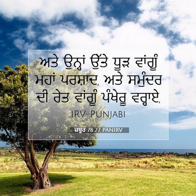 Picture 07 - ਜ਼ਬੂਰ 78:27 PANIRV - ਅਤੇ ਉਨ੍ਹਾਂ ਉੱਤੇ - Bible Verse Picture