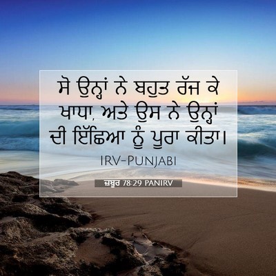 Picture 07 - ਜ਼ਬੂਰ 78:29 PANIRV - ਸੋ ਉਨ੍ਹਾਂ ਨੇ ਬਹੁਤ - Bible Verse Picture