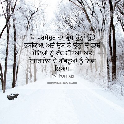 Picture 07 - ਜ਼ਬੂਰ 78:31 PANIRV - ਕਿ ਪਰਮੇਸ਼ੁਰ ਦਾ - Bible Verse Picture