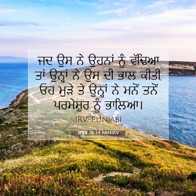 Picture 07 - ਜ਼ਬੂਰ 78:34 PANIRV - ਜਦ ਉਸ ਨੇ ਉਹਨਾਂ ਨੂੰ - Bible Verse Picture