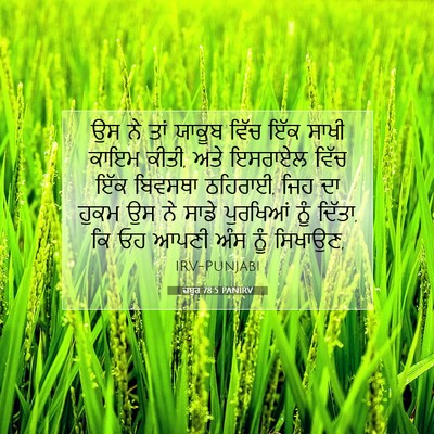 Picture 07 - ਜ਼ਬੂਰ 78:5 PANIRV - ਉਸ ਨੇ ਤਾਂ ਯਾਕੂਬ - Bible Verse Picture