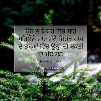 Picture 07 - ਜ਼ਬੂਰ 78:51 PANIRV - ਉਸ ਨੇ ਮਿਸਰ ਵਿੱਚ - Bible Verse Picture