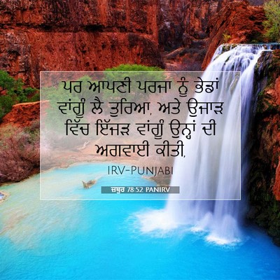 Picture 07 - ਜ਼ਬੂਰ 78:52 PANIRV - ਪਰ ਆਪਣੀ ਪਰਜਾ ਨੂੰ - Bible Verse Picture