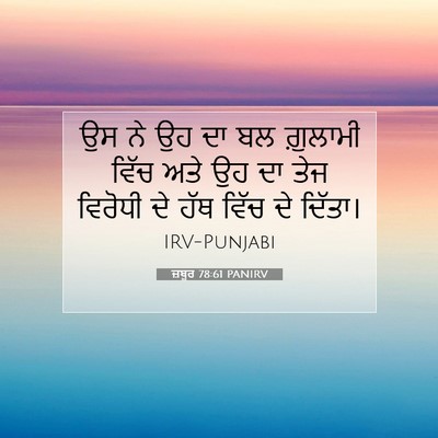 Picture 07 - ਜ਼ਬੂਰ 78:61 PANIRV - ਉਸ ਨੇ ਉਹ ਦਾ ਬਲ - Bible Verse Picture
