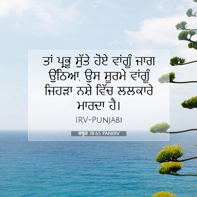 Picture 07 - ਜ਼ਬੂਰ 78:65 PANIRV - ਤਾਂ ਪ੍ਰਭੂ ਸੁੱਤੇ - Bible Verse Picture