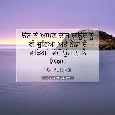 Picture 07 - ਜ਼ਬੂਰ 78:70 PANIRV - ਉਸ ਨੇ ਆਪਣੇ ਦਾਸ ਦਾਊਦ - Bible Verse Picture
