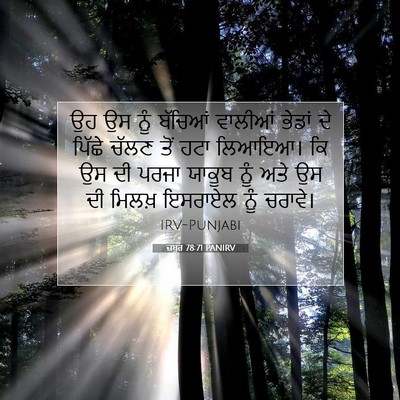 Picture 07 - ਜ਼ਬੂਰ 78:71 PANIRV - ਉਹ ਉਸ ਨੂੰ ਬੱਚਿਆਂ - Bible Verse Picture