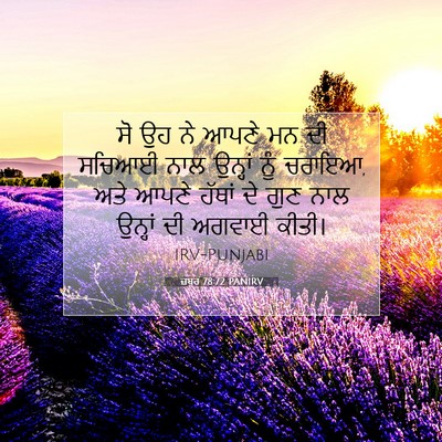 Picture 07 - ਜ਼ਬੂਰ 78:72 PANIRV - ਸੋ ਉਹ ਨੇ ਆਪਣੇ ਮਨ ਦੀ - Bible Verse Picture