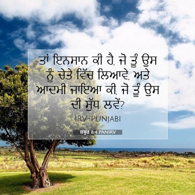 Picture 07 - ਜ਼ਬੂਰ 8:4 PANIRV - ਤਾਂ ਇਨਸਾਨ ਕੀ ਹੈ, ਜੋ - Bible Verse Picture