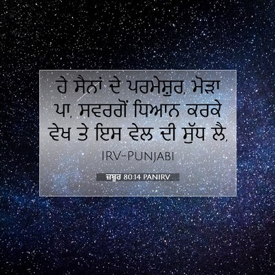 Picture 07 - ਜ਼ਬੂਰ 80:14 PANIRV - ਹੇ ਸੈਨਾਂ ਦੇ - Bible Verse Picture