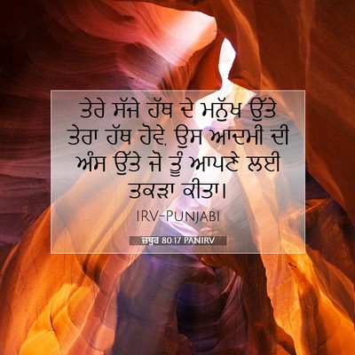 Picture 07 - ਜ਼ਬੂਰ 80:17 PANIRV - ਤੇਰੇ ਸੱਜੇ ਹੱਥ ਦੇ - Bible Verse Picture