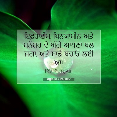 Picture 07 - ਜ਼ਬੂਰ 80:2 PANIRV - ਇਫ਼ਰਾਈਮ, ਬਿਨਯਾਮੀਨ - Bible Verse Picture