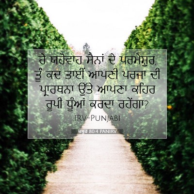 Picture 07 - ਜ਼ਬੂਰ 80:4 PANIRV - ਹੇ ਯਹੋਵਾਹ ਸੈਨਾਂ ਦੇ - Bible Verse Picture