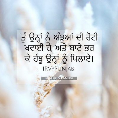 Picture 07 - ਜ਼ਬੂਰ 80:5 PANIRV - ਤੂੰ ਉਨ੍ਹਾਂ ਨੂੰ - Bible Verse Picture