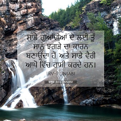 Picture 07 - ਜ਼ਬੂਰ 80:6 PANIRV - ਸਾਡੇ ਗੁਆਂਢੀਆਂ ਦੇ - Bible Verse Picture