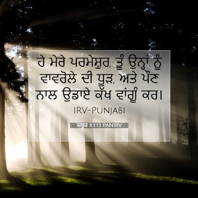 Picture 07 - ਜ਼ਬੂਰ 83:13 PANIRV - ਹੇ ਮੇਰੇ ਪਰਮੇਸ਼ੁਰ, - Bible Verse Picture