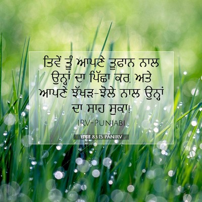 Picture 07 - ਜ਼ਬੂਰ 83:15 PANIRV - ਤਿਵੇਂ ਤੂੰ ਆਪਣੇ - Bible Verse Picture