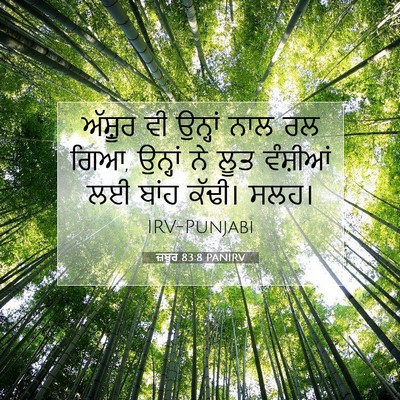 Picture 07 - ਜ਼ਬੂਰ 83:8 PANIRV - ਅੱਸ਼ੂਰ ਵੀ ਉਨ੍ਹਾਂ - Bible Verse Picture