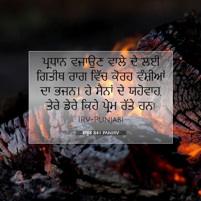 Picture 07 - ਜ਼ਬੂਰ 84:1 PANIRV - ਪ੍ਰਧਾਨ ਵਜਾਉਣ ਵਾਲੇ - Bible Verse Picture